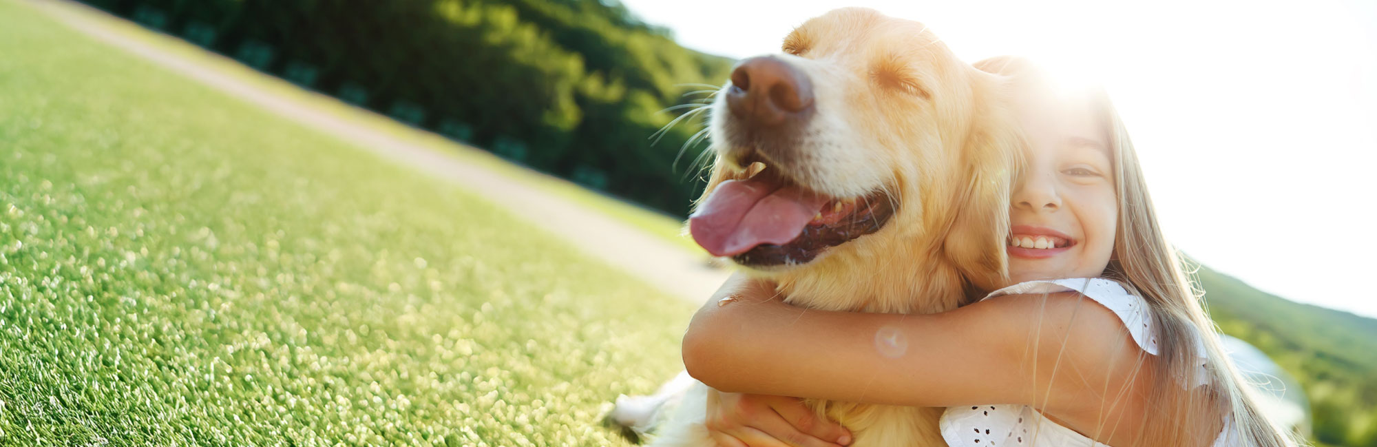 Young girl hugging a golden retriever on a vibrant green lawn, sharing a joyful moment under the sunlight.