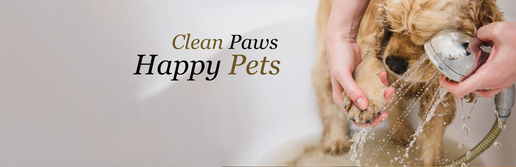 Close-up of a dog paws being washed with water, with the text Clean Paws, Happy Pets emphasizing hygiene and pet care.